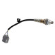 Haltech Haltech Wideband O2 Sensor only - NTK LZA08-H5 - Shrouded | race-shop.hr