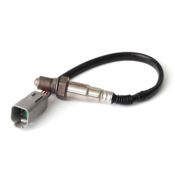 Haltech Wideband O2 Sensor only - Bosch LSU 4.2