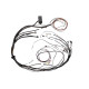 Haltech Haltech Elite 1000/1500 Maz 13B EV1 Term Main Harn Only No S | race-shop.hr
