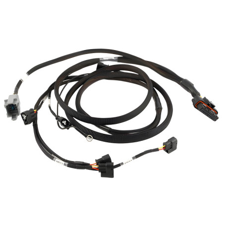 Haltech Haltech Elite 2000/2500 Toy 2JZ Term HPI6 Ignition Harn only | race-shop.hr