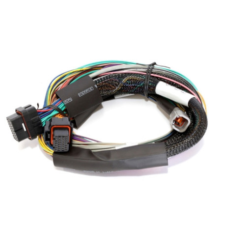 Motec Haltech Elite 1500 - 2.5m (8 ft) Basic Uni Wire-in Harn Only | race-shop.hr