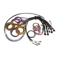 Haltech Nexus R5 Basic Universal Wire-In harness - 2.5M (8`)