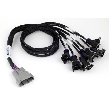 Motec Haltech Nexus V8 Junior Timer (EV1) Injector Primary Breakou | race-shop.hr