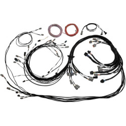 Haltech Uni V8 Term Engine Harness for Nexus R5 VCU