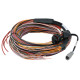 Haltech Haltech PD16 PDM + Flying Lead Harness (5M) | race-shop.hr
