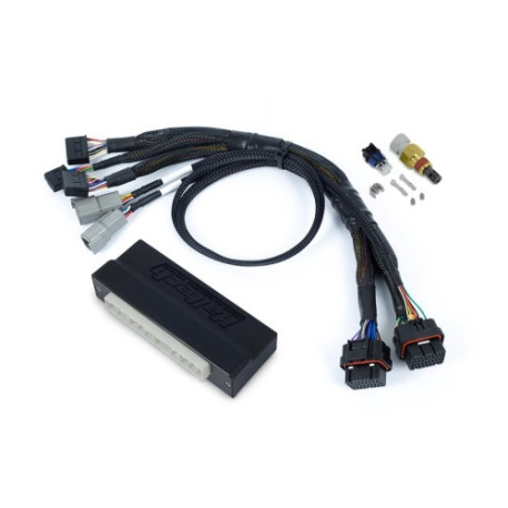 Haltech Haltech Nexus S3 PnP Adaptor Harness Subaru WRX MY06-10 | race-shop.hr