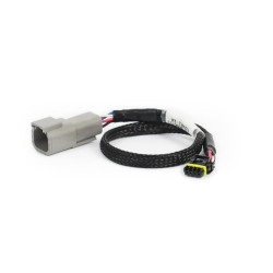 Haltech CAN Adaptor Loom DTM-4 to Molex Mizu-P25 - Suits Hol