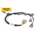 Haltech Haltech Nexus i6 R35 COP Ignition Harness | race-shop.hr