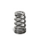 Dijelovi motora Set ventila SUPERTECH VAG EA855 EVO (DAZA) | race-shop.hr