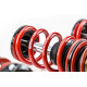 MTS Technik komplet MTS STREET SERIES Podesiv ovjes za Volkswagen DERBY (86) 02/77 - 09/81 (Gold) | race-shop.hr