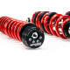 MTS Technik komplet MTS STANCE SERIES Podesiv ovjes za Audi 80 B4 Avant (8C) 09/91 - 01/96 (Inox) | race-shop.hr