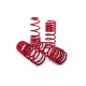 MTS Technik komplet Lowering springs MTS Technik BMW 3 Touring (F31) 03/13 - 06/19, 30 mm / 20 mm | race-shop.hr