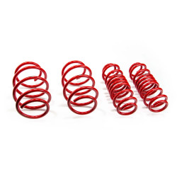 Sportske opruge MTS Technik Seat LEON SC (5F) 10/13 - 07/20, 25 mm / 25 mm