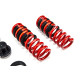 Podesiv ovjes gevinde MTS adjustable springs for BMW 2 Coupe (G42/G87) 08/21 - | race-shop.hr