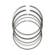 Dijelovi motora JE PistonsSet prstenova1.2-1.2-2.5-100.00 | race-shop.hr