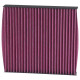 Filteri Kabine K&N Filter kabine DVF5050 | race-shop.hr