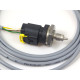 RWD POWER RWD POWER BMW E46 Adapter with Wiring and Oil Pressure Sensor for DASH5 / DASH7 | race-shop.hr