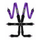 FIA 6 point sport safety belts RACES EVO HANS 3
