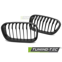 TUNING-TEC maska za BMW F20 / F21 LCI 15-18, mat crna