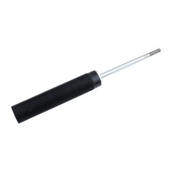Rear Coilover - Damper