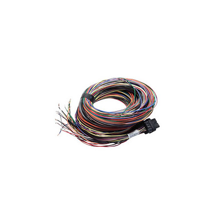 Samostalni ECU, zaslon i pribor Link kabelski snop za stari G4 Atom i Lightning 5m (5LT) | race-shop.hr