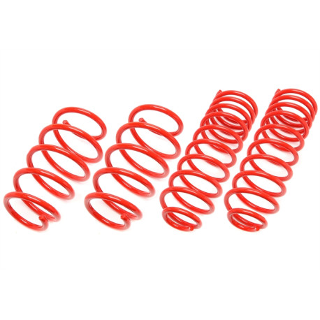 TA technix TA-TECHNIX sportske opruge za Saab 9-5 YS3C, 30/30mm | race-shop.hr