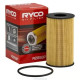 Za određeni model RYCO fuel filter R2858P | race-shop.hr