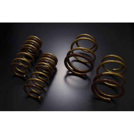 TEIN TEIN HIGH TECH Opruge za SUBARU WRX VAG | race-shop.hr