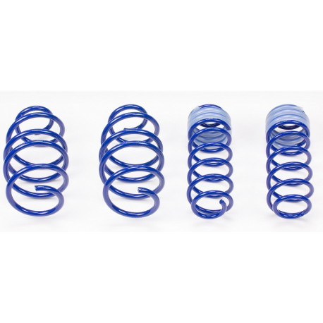 AP sportfahrwerke Sportske opruge AP za AUDI A5, 08/16-, 30/30mm | race-shop.hr