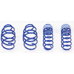Sportske opruge AP za AUDI A4, 04/01-, 40/30mm