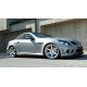 Body kit i vizualni dodaci MAXTON DESIGN prednji lip za Mercedes SLK R171 (for Me-SLK -r171-AMG204-f1) | race-shop.hr