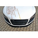 Body kit i vizualni dodaci MAXTON DESIGN prednji lip za Audi R8 Mk.1 | race-shop.hr
