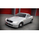 Body kit i vizualni dodaci Prednji lip MERCEDES SLK R170 | race-shop.hr
