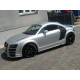 Body kit i vizualni dodaci Bočne pragove Audi TT 8N (R8 Look) | race-shop.hr