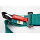Sigurnosni pojasevi i dodaci 5 točkasti sportski sigurnosni pojasevi RACES Motorsport 3" (76mm) (LIMITED EDITION), aqua zelena | race-shop.hr